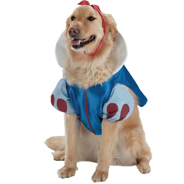 Crazy Halloween Dog Costume Ideas
