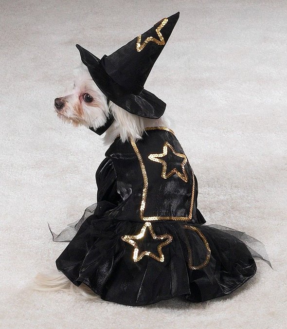 crazy dog costume ideas 40 in Crazy Halloween Dog Costume Ideas