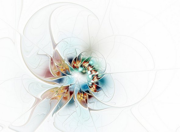 Elegant White Background Fractal Designs