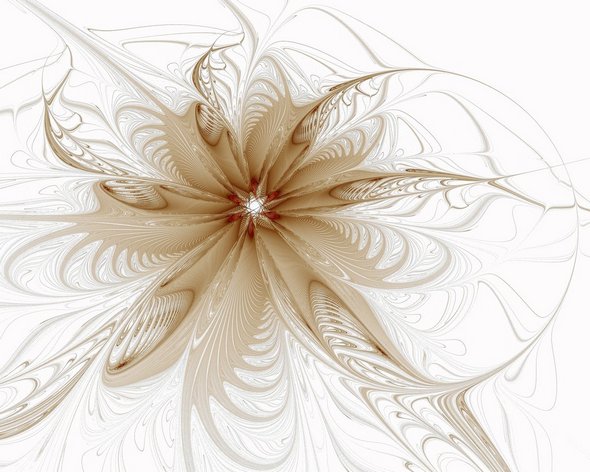 elegant fractal designs 27 in Elegant White Background Fractal Designs