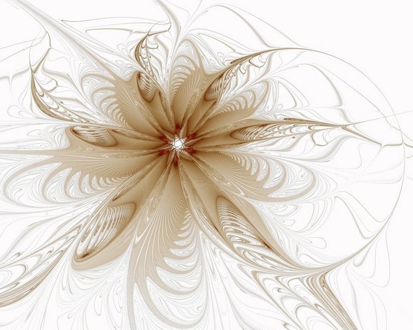 Elegant White Background Fractal Designs