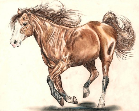 galloping horse paintings 24 in 31 Amazing Galloping Horses Paintings