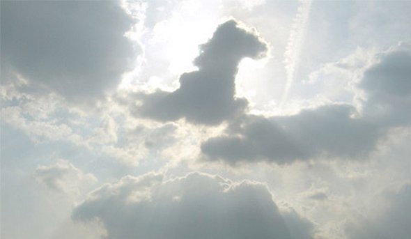 Horses in The Clouds