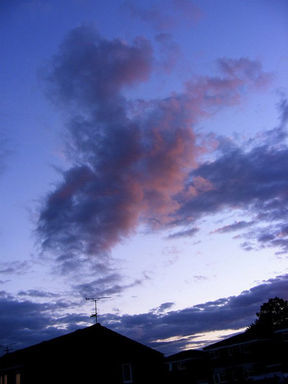 Horses in The Clouds