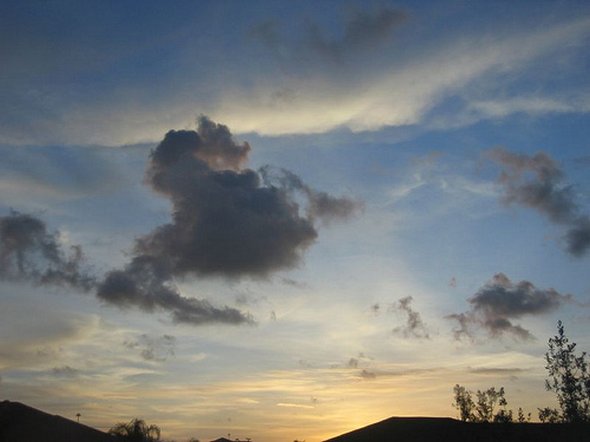 Horses in The Clouds