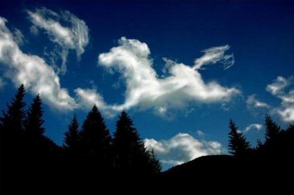 horses in the clouds 08 in Cloud Formations 1: Horses in The Clouds