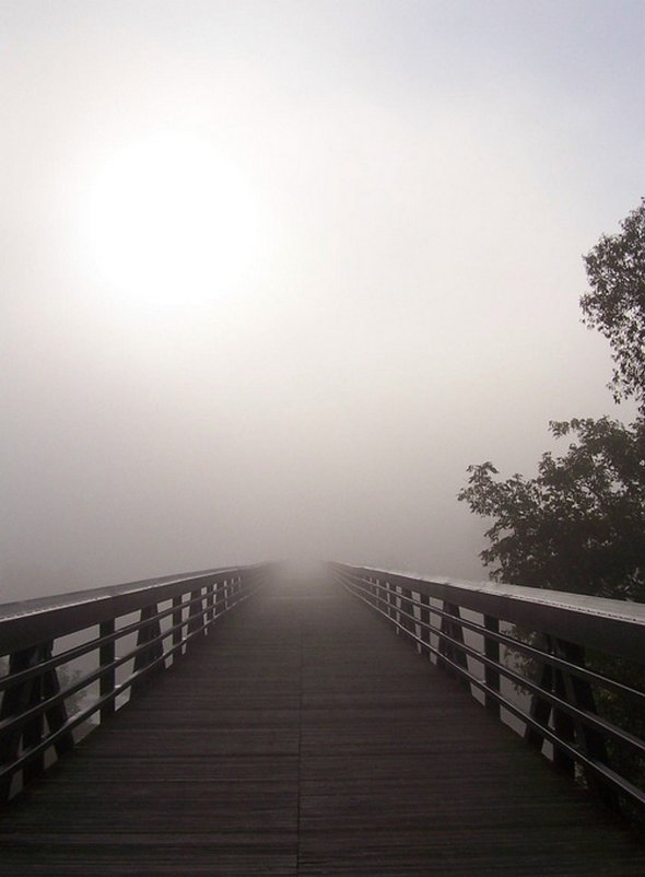 Roads Leading to Nowhere: Inspiring Photography