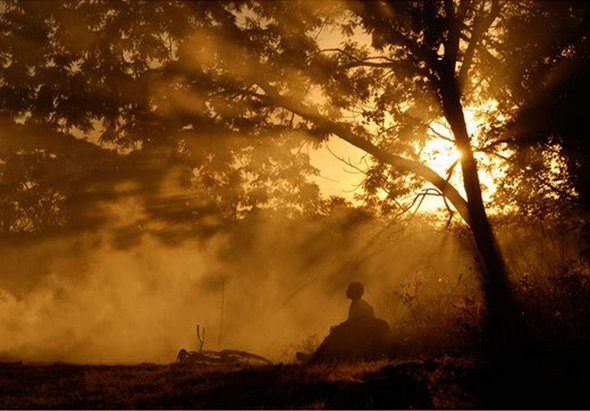 50 Stunning Contest Winning Photographs by National Geographic