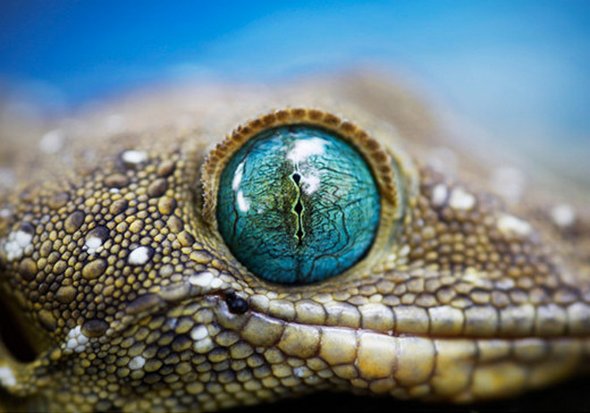 50 Stunning Contest Winning Photographs by National Geographic