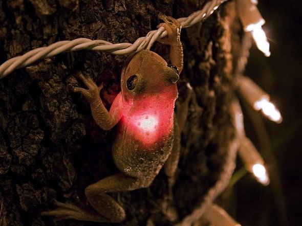 50 Stunning Contest Winning Photographs by National Geographic