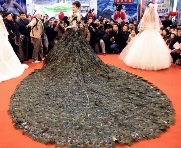 Strange And Unique Wedding Dress