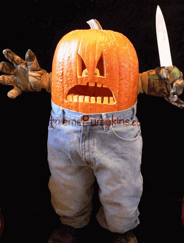 Creative Pumpkin Artworks