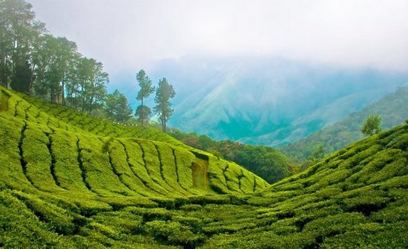 Different Incredible Faces of India