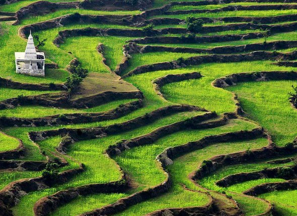 Different Incredible Faces of India