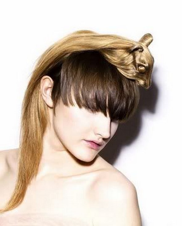 Weird, Creative and Funny Animal Hairstyles