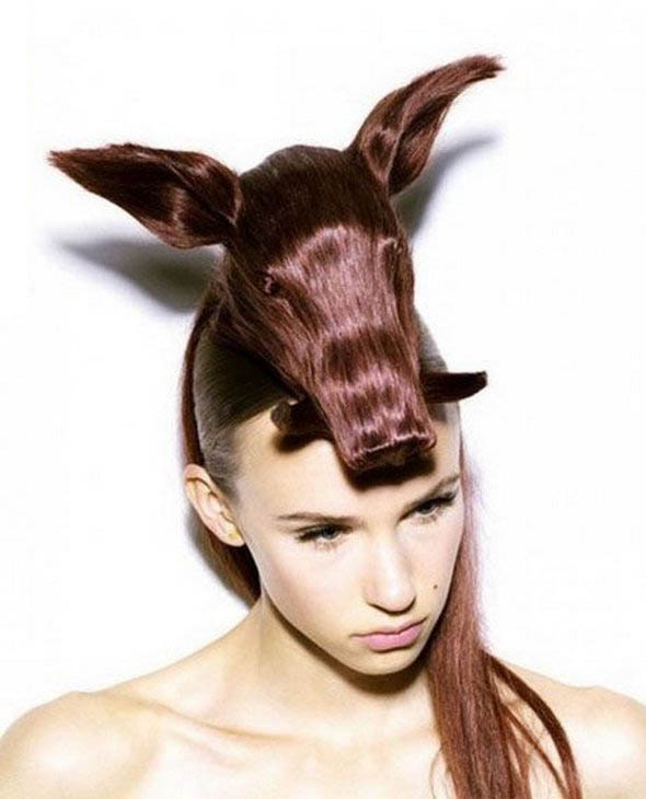 ... animal hairstyles 03 in Weird, Creative & Funny Animal Hairstyles