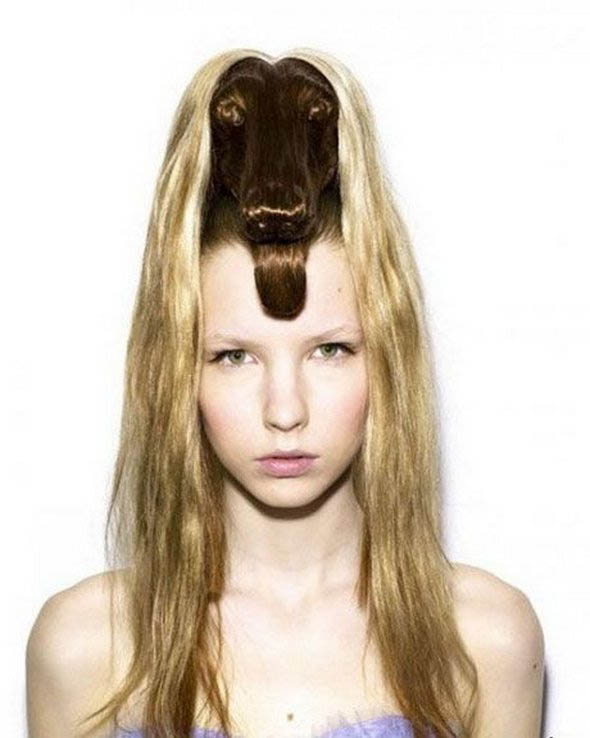 animal hairstyles 04 in Weird, Creative & Funny Animal Hairstyles