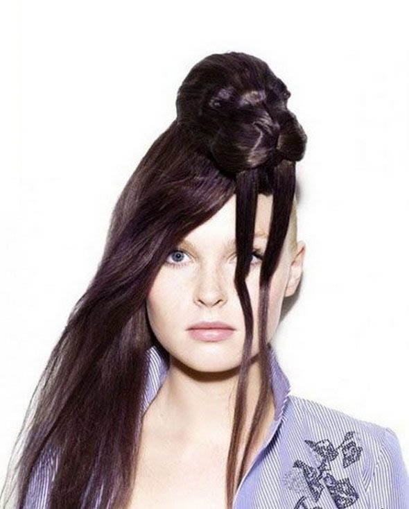 ... animal hairstyles 10 in Weird, Creative & Funny Animal Hairstyles