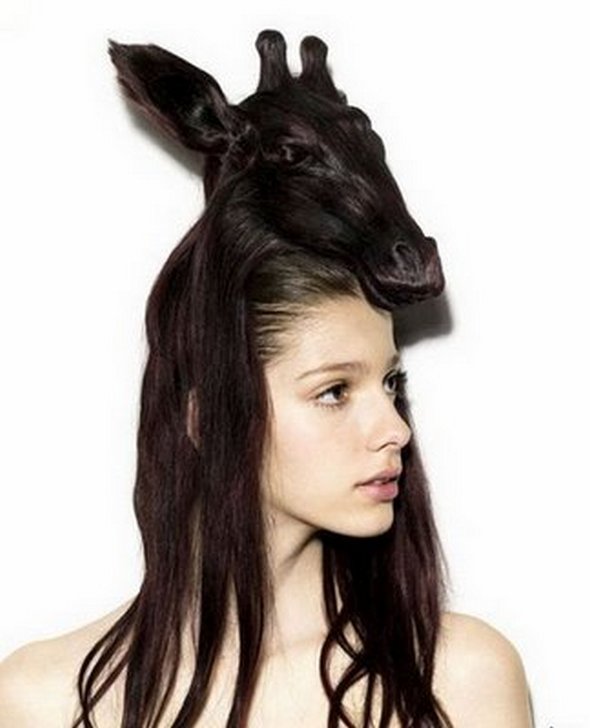 Weird, Creative and Funny Animal Hairstyles