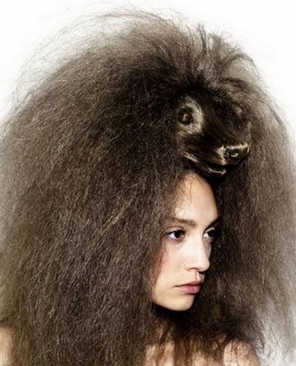 ... animal hairstyles 15 in Weird, Creative & Funny Animal Hairstyles