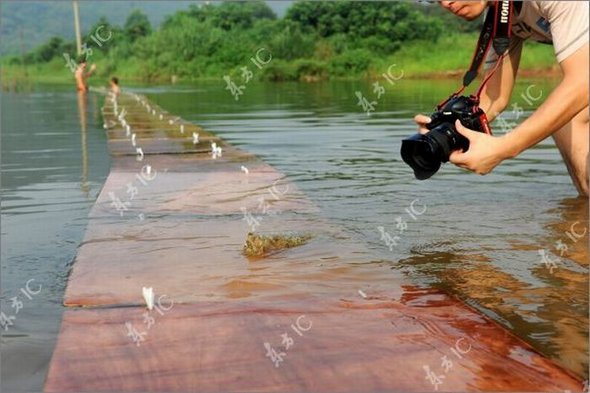 Gliding on Water (Qing Gong) Performed by Monk of South Shaolin Temple gliding on water by monk 24 in Gliding on Water (Qing Gong) Performed by Monk of South Shaolin Temple