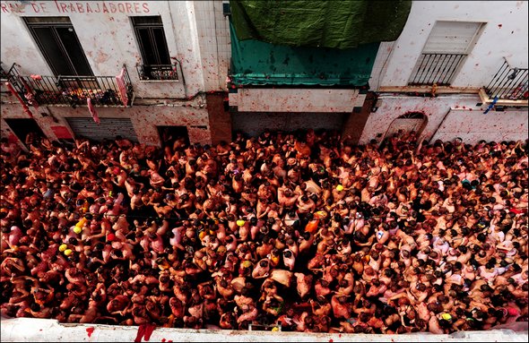 tomato fight festival 17 in Crazy Tomato Fight Festival   La Tomatina