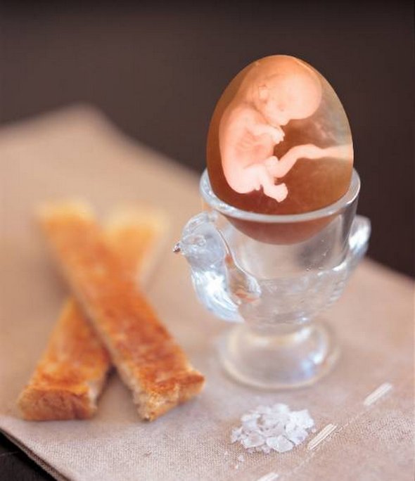 Wonders of Egg Art