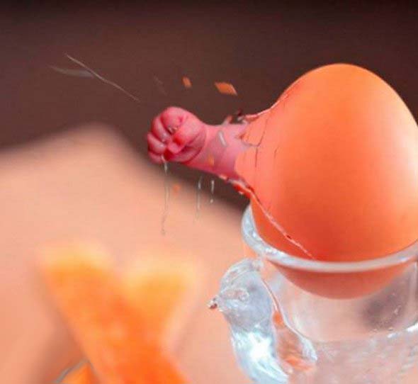 Wonders of Egg Art