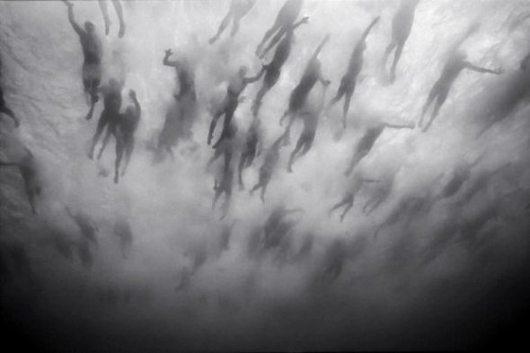 Underwater Photography by Wayne Levin