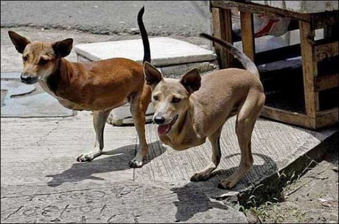 http://www.chilloutpoint.com/images/2010/10/unbelivable-non-photoshopped-images/unbelivable-non-photoshopped-images-00.jpg