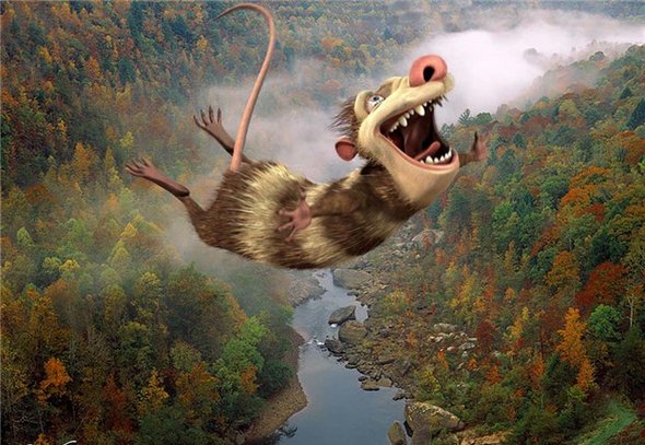 Cartoon Characters 
Stuck in Real Life