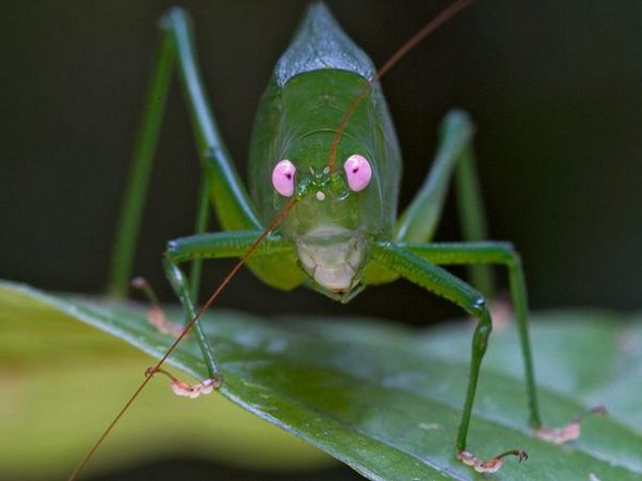 Best News Photos of 
2010 - From National Geographic