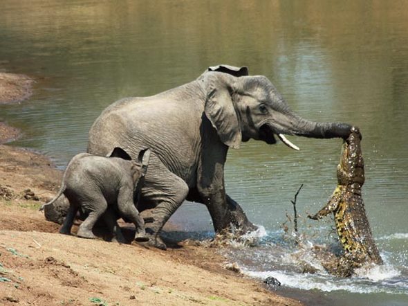 Best News Photos of 2010 - From 
National Geographic