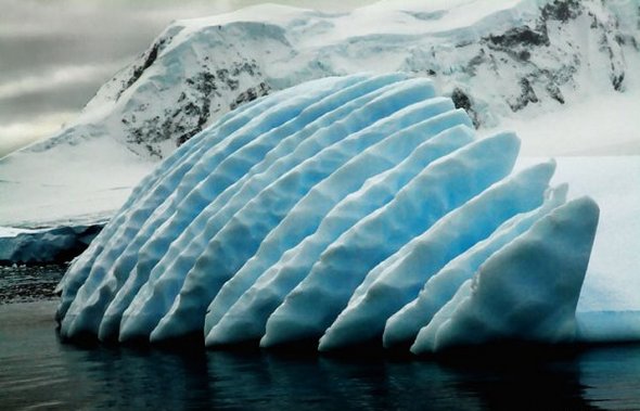 31 Best Antarctica Photos