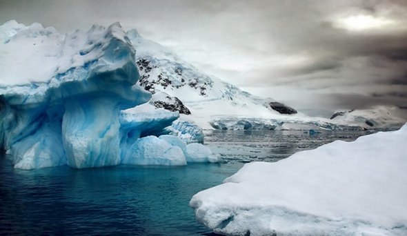 31 Best Antarctica Photos