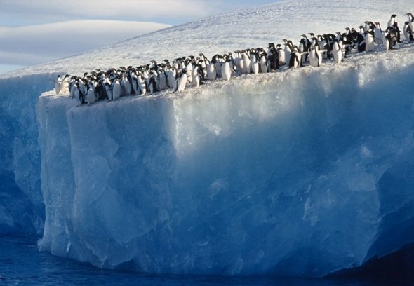 31 best antarctica photos 23 in 31 Best Antarctica Photos