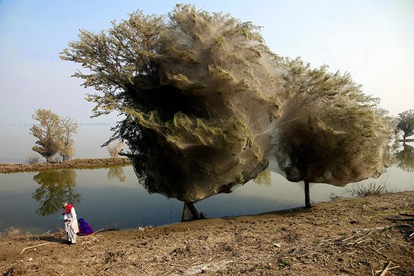Most Compelling Photographs of 2011 most compelling photographs of 2011 11 in Most Compelling Photographs of 2011