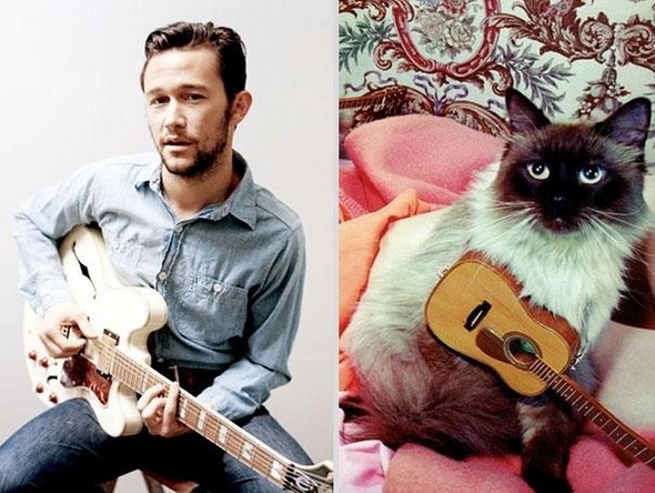 10 diptychs of hot guys and kittens 02 in Handsome Studs or Tame Kittens?!