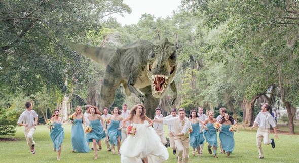 Crazy wedding idea 