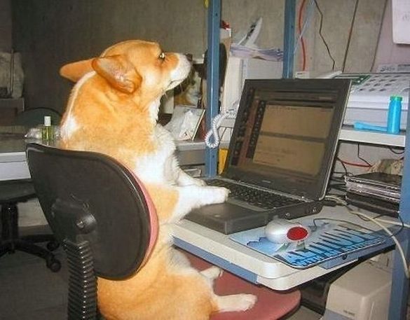 internet addiction 13 in Extreme Forms Of Internet Addicion