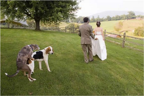 funny weddings 03 in Wedding Photos That Will Never Be in Your Wedding Album