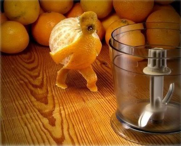 fun creations using food 58 in Top 100 Funniest Food Creations made using Fruits, Vegetables, Eggs