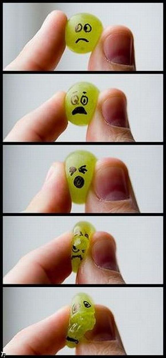 fun creations using food 87 in Top 100 Funniest Food Creations made using Fruits, Vegetables, Eggs
