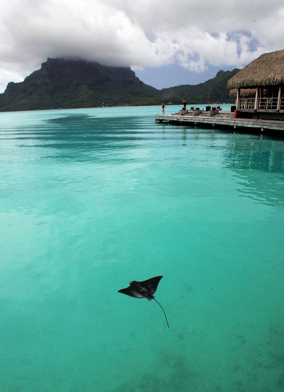 bora bora photos11 in The Paradise on Earth: Bora Bora