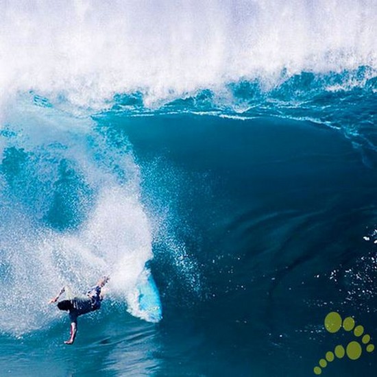 surfer wipeouts01 in Surfers Wiped Out By Gigantic Waves