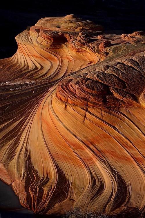 the wave03 in The Wave   The Dune of Arizona