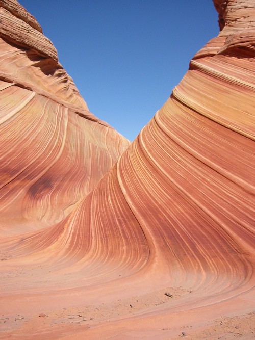 the wave06 in The Wave   The Dune of Arizona