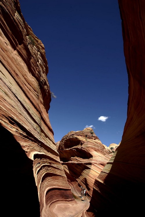 the wave07 in The Wave   The Dune of Arizona