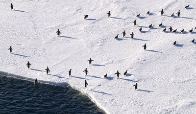 antartica pictures04 in Amazing Antarctica pictures