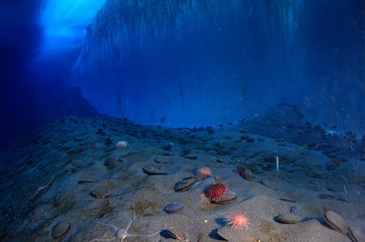 antartica pictures08 in Amazing Antarctica pictures